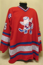 Dubuque Fighting Saints Red # 15 The last season for this style jersey was probably 98-99 season. It is number 15 and has NNOB, it also has the old style USHL chest crest. Any additional information from you would be great!!!