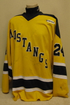 Rochester Mustangs Yellow #24 This jersey is from the final Mustang's season, 1999-2000. These were their home jerseys for close to 3 seasons. They show terrific wear. Still researching, the NOB has been removed. Manufactured by ProJoy.