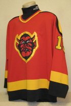 St. Paul / Twin City Vulcans Red #15. I am still researching this #15 jersey Manufactured by CCM, it is a size large. NNOB or evidence of a nameplate. Probably from around the mid to late 90's. Any additional information from you would be great!!!