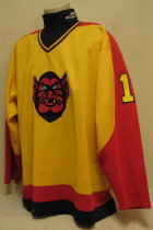 Twin City Vulcans Circa 1995-98 # 10 Still doing my homework on this one. Made by CCM. NNOB. Nice wear!!! Any additional information from you would be great!!!