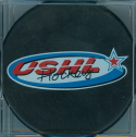 This logo was orginally a secondary USHL logo. This color logo started to appear on Souvenir pucks during the 2001-02 season. 