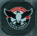 This logo was born around the mid 90's and still stands as the primary logo. During the mid 90's the Hawks offered up some great promotion that could only be equaled by Eddie Veek...nickel beer, long hair & t-shirt night, guaranteed Fight & GM Explosion nights were some of the offering that sparked a lull in Hawks game attendance. 2003-04 the Hawks made history and won their first ever Clark Cup Championship. They defeated the league winning, and heavily favored Tri-City Storm 3 games to one.